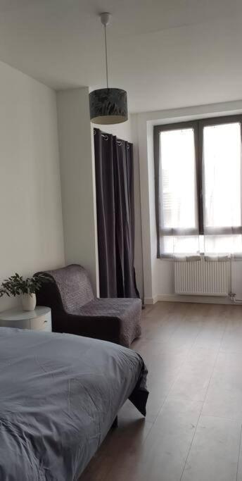 Apartmán Logement 5 Personnes Proche Cv Et Parking Prive Saint-Etienne  Exteriér fotografie
