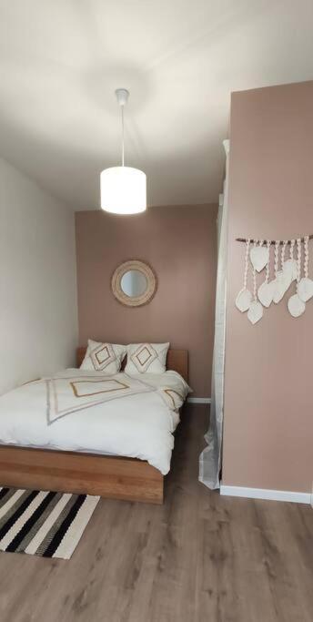 Apartmán Logement 5 Personnes Proche Cv Et Parking Prive Saint-Etienne  Exteriér fotografie